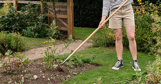 gardening jobs to do in spring
