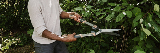 hedge shears kent and stowe august gardening jobs