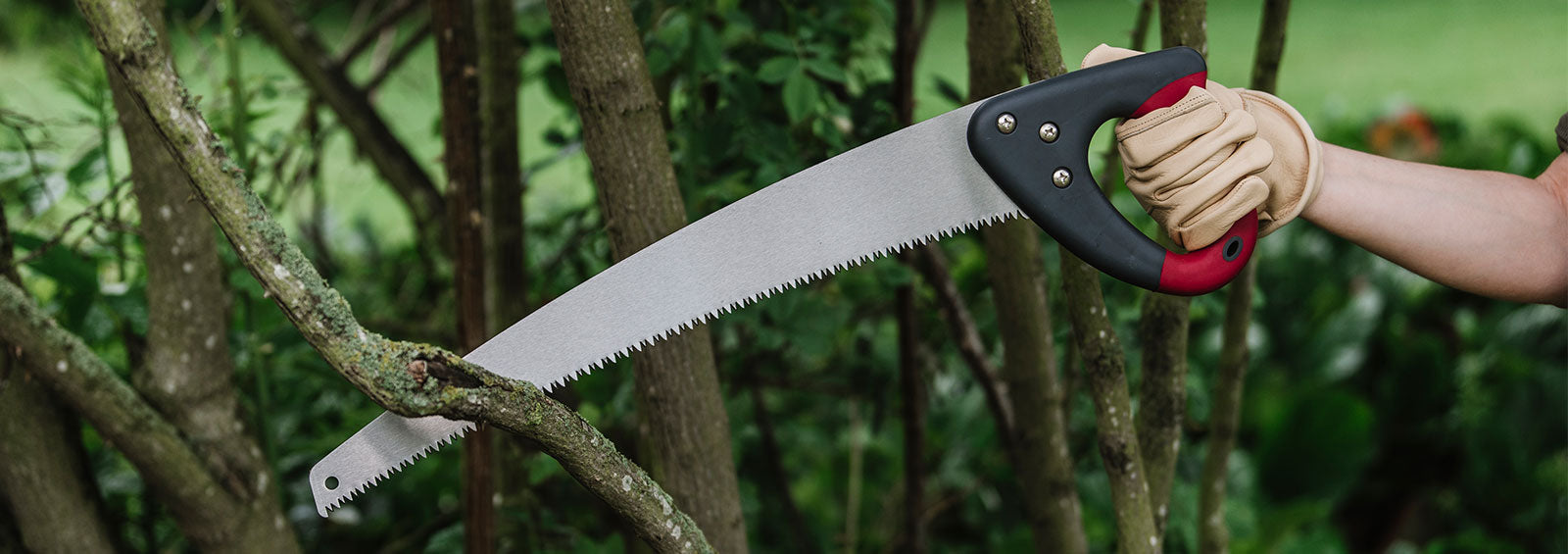 Hand saw to cut tree branches sales