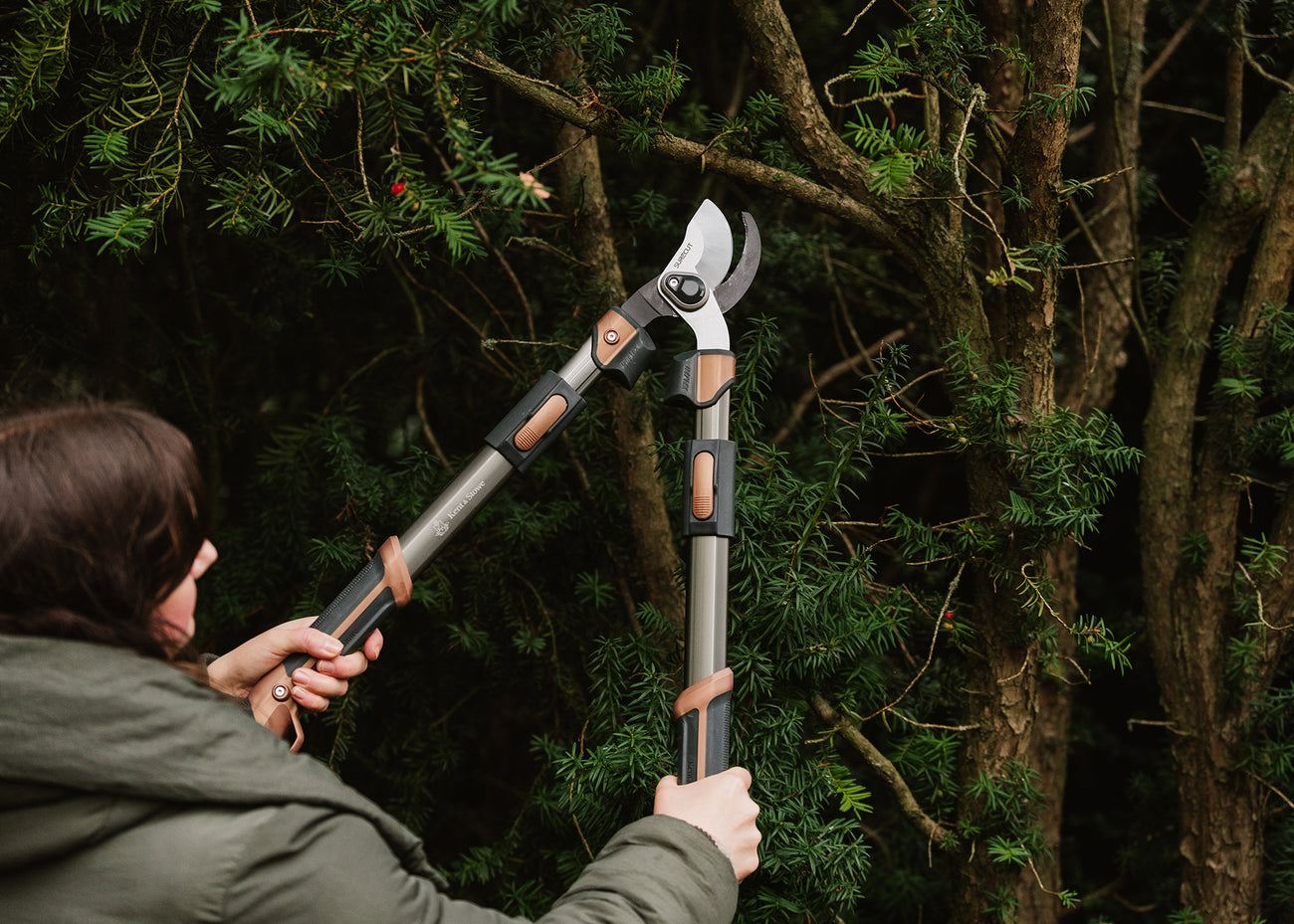 how to choose the right loppers surecut kent and stowe