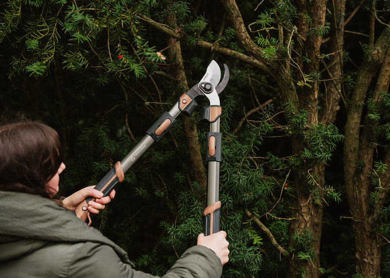 how to choose the right loppers surecut kent and stowe