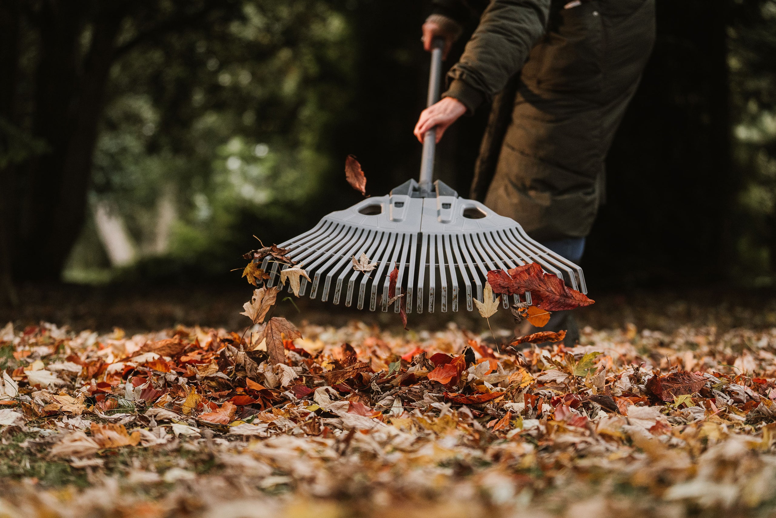 3 in 1 leaf rake raking lawn with leaves