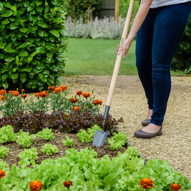 Kent & Stowe Carbon Steel Long Handled Trowel
