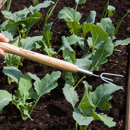 Kent & Stowe Stainless Steel Border 3 Prong Cultivator