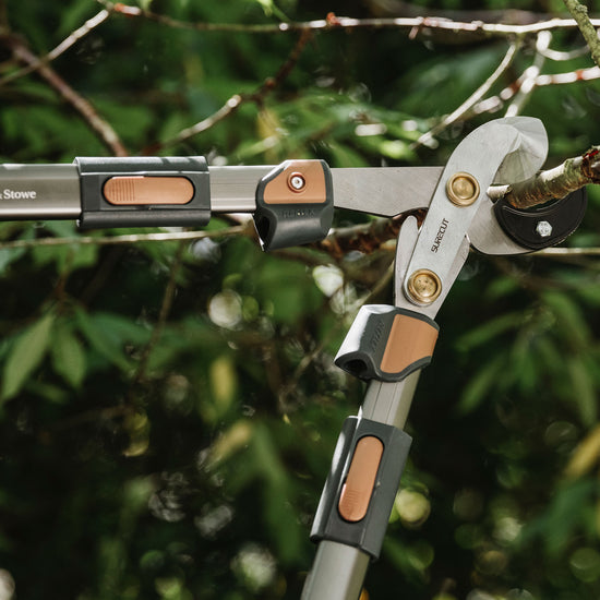 Kent & Stowe SureCut Extra Power Hard Wood Loppers cutting branch
