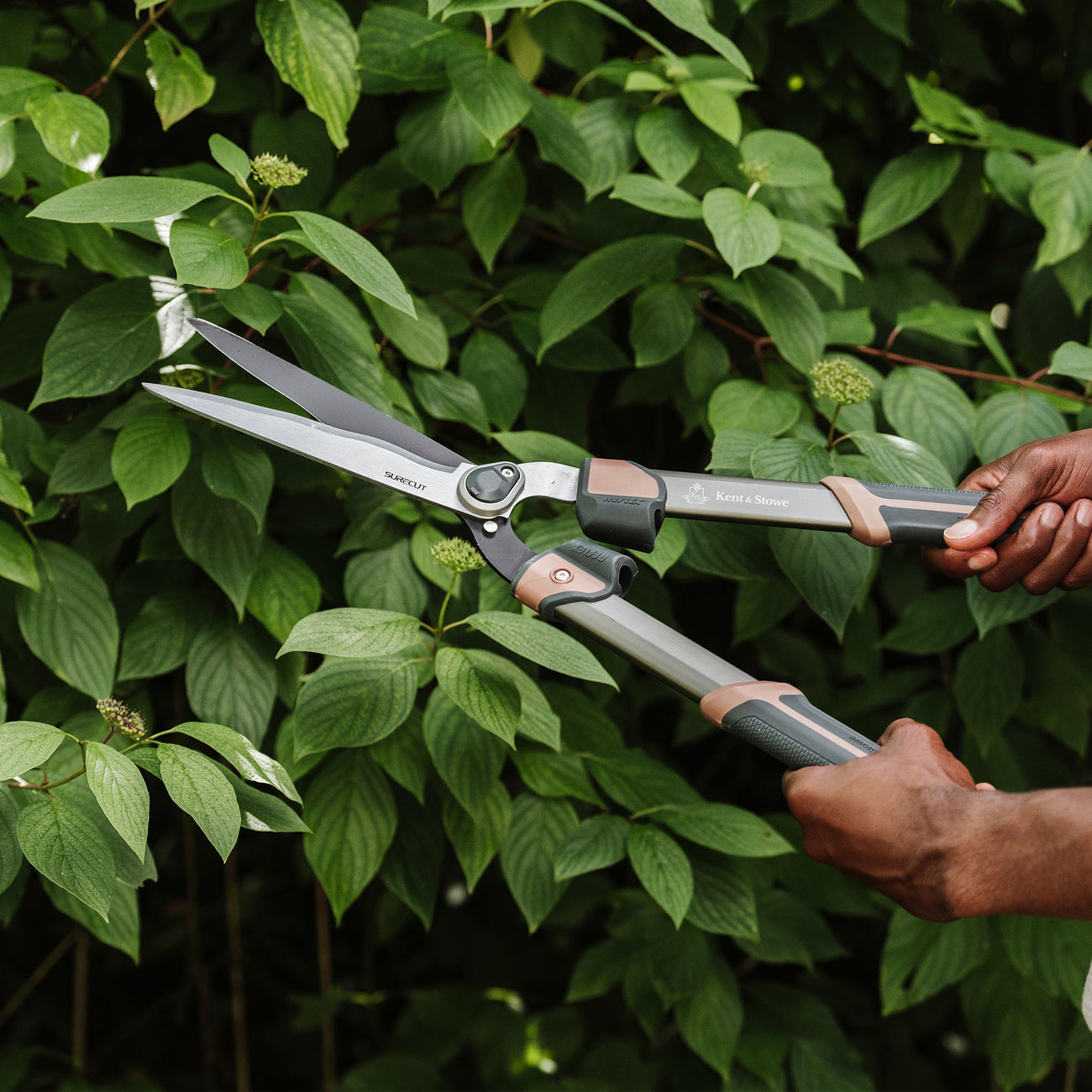 Kent & Stowe SureCut Hedge Shears cutting hedge