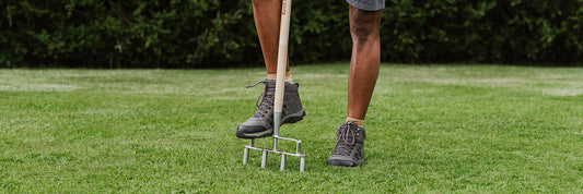 How to Aerate your Lawn