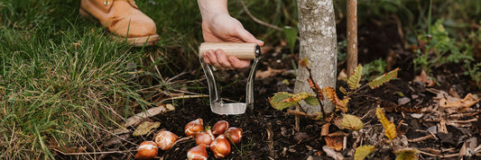 Great Tools for Bulb Planting