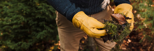 Gardening Jobs to do in Autumn