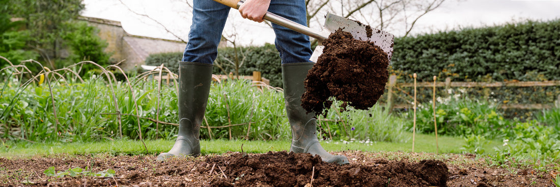 Step-by-Step Guide to Planting Trees