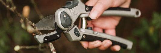 The Difference between an Anvil and Bypass Cut