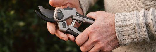 How to Choose the Right Secateurs