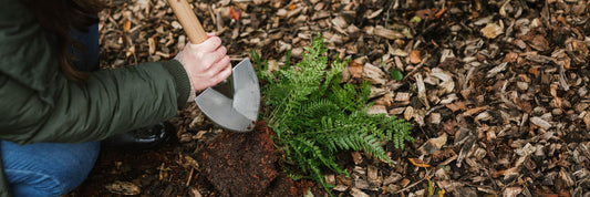 November Gardening Jobs