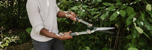 hedge shears kent and stowe august gardening jobs