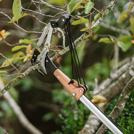 Kent & Stowe Telescopic Tree Lopper 3m