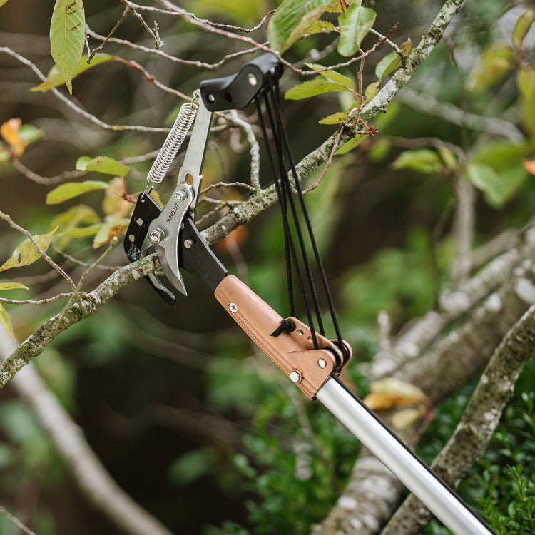 Kent & Stowe Telescopic Tree Lopper 3m