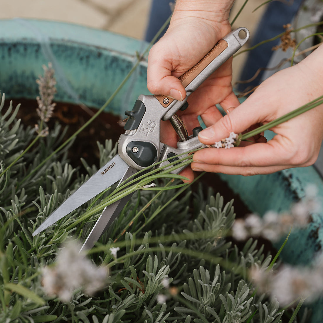 Kent & Stowe SureCut Perennial Snips - Cutting Tools