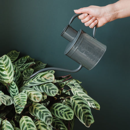 Kent & Stowe The Indoor Metal Watering Can Slate Grey 1L