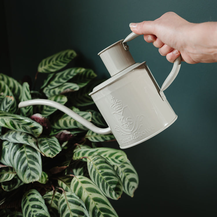 Kent & Stowe The Indoor Metal Watering Can Pebble Stone 1L