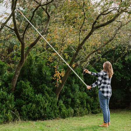 Kent & Stowe Telescopic Tree Lopper 3m