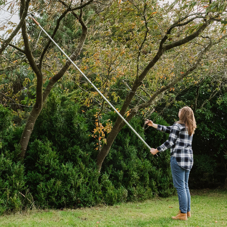 Kent & Stowe Telescopic Tree Lopper 3m