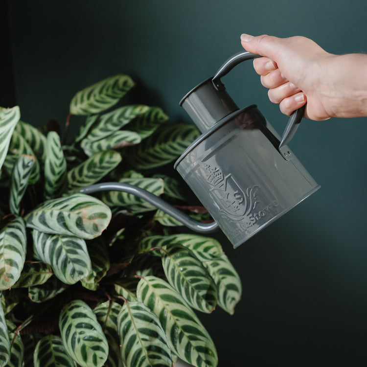 Kent & Stowe The Indoor Metal Watering Can Slate Grey 1L
