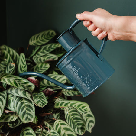 Kent & Stowe The Indoor Metal Watering Can Midnight Blue 1L