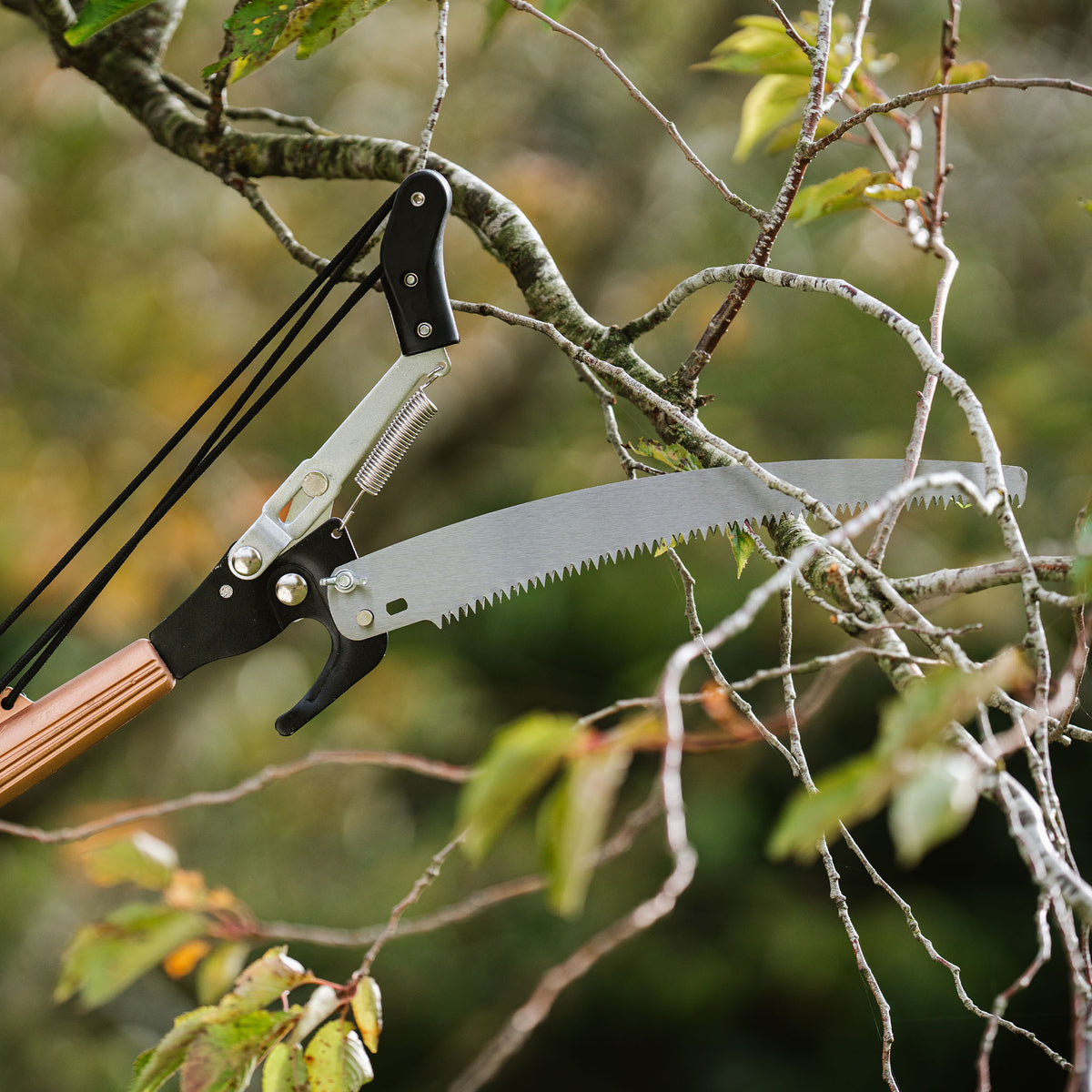 Kent & Stowe Telescopic Tree Lopper 3m - Cutting Tools