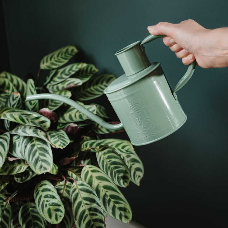 Kent & Stowe The Indoor Metal Watering Can Smoky Jade 1L