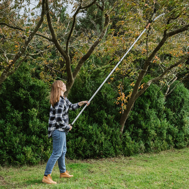 Kent & Stowe Telescopic Tree Lopper 3m