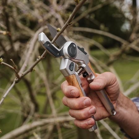 Kent & Stowe Eversharp Secateurs Twin Pack