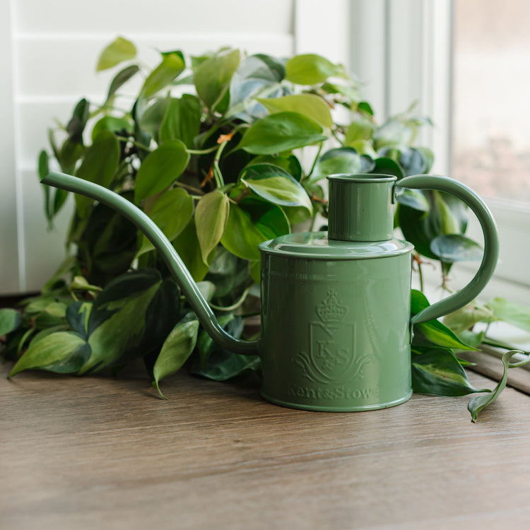 Kent & Stowe The Indoor Metal Watering Can Smoky Jade 1L