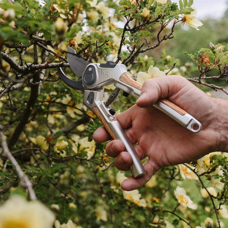 Kent & Stowe Eversharp Secateurs Twin Pack