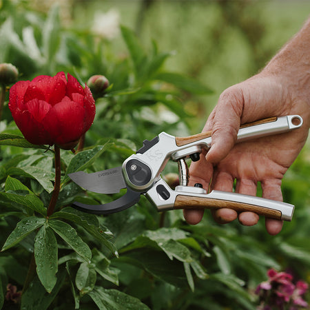 Kent & Stowe Eversharp Secateurs Twin Pack
