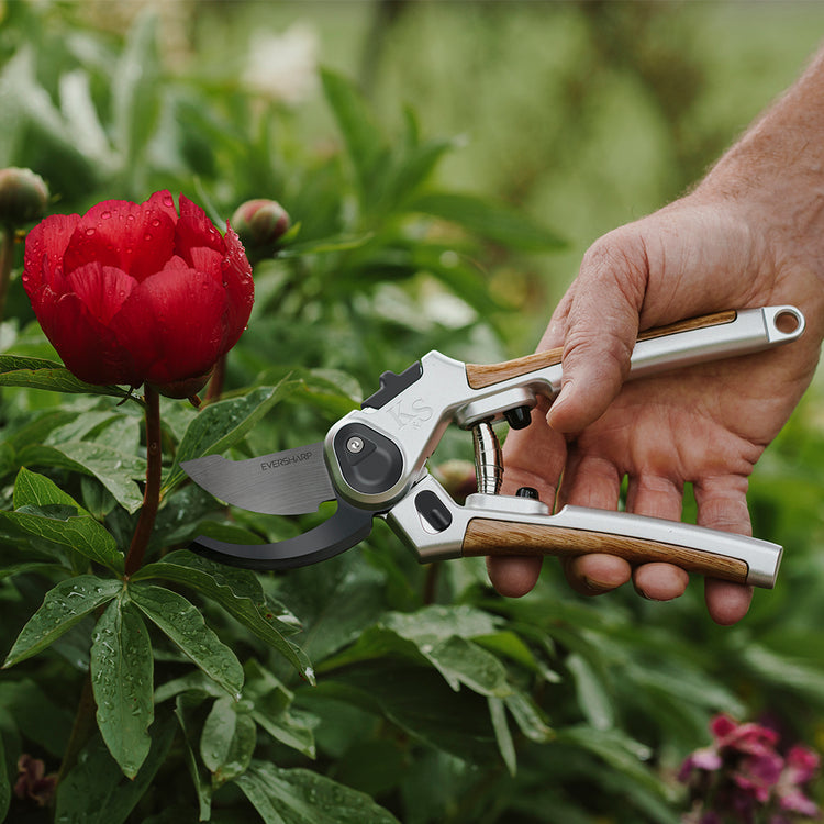Kent & Stowe Eversharp Secateurs Twin Pack