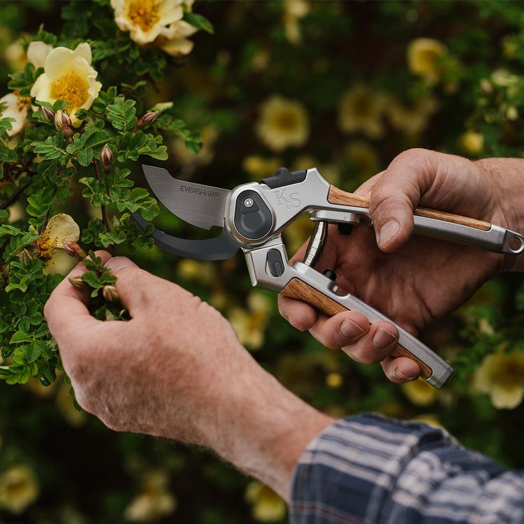 Kent & Stowe Eversharp Secateurs Twin Pack