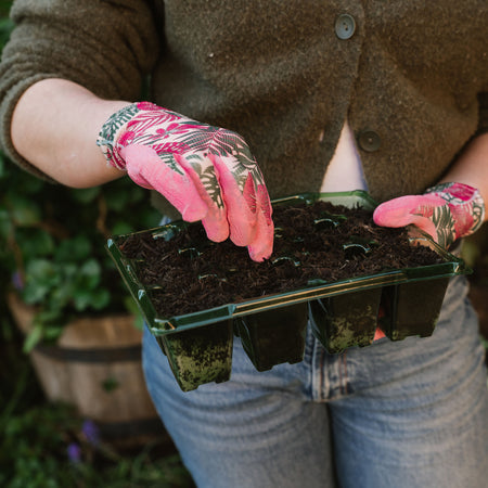 Kent & Stowe Weeding Gloves Botanical Triple Pack - Small