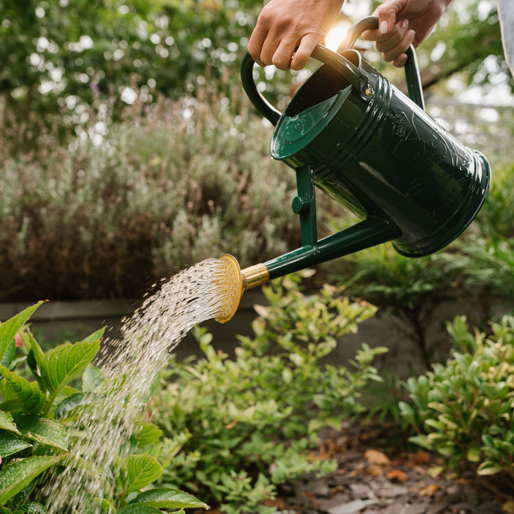 Kent & Stowe Metal Watering Can Forest Green 4.5L