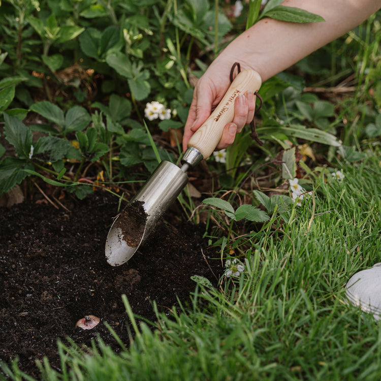 Kent & Stowe Stainless Steel Small Bulbs Planter