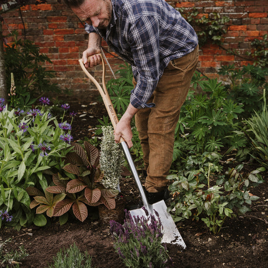 Kent & Stowe Stainless Steel Digging Spade in use