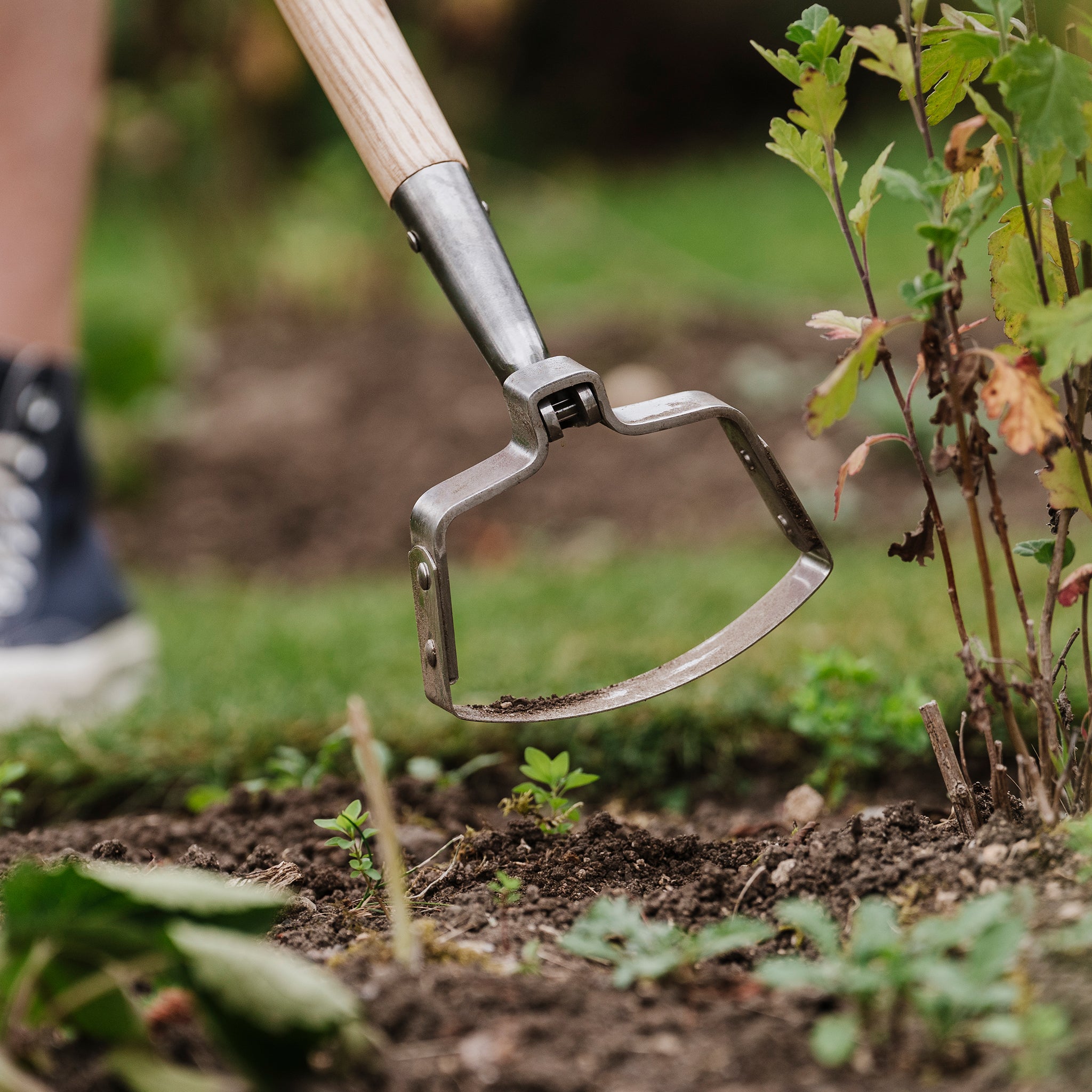 Kent & Stowe Stainless Steel Oscillating Hoe - Weeding Tools
