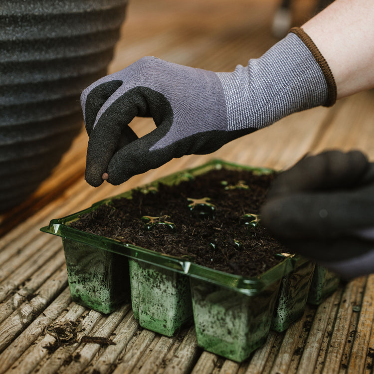 Kent & Stowe Premium Seed & Weed Gloves - Small
