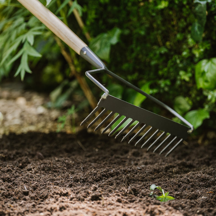 Kent & Stowe Long Handled Soil Rake - Digging & Cultivating