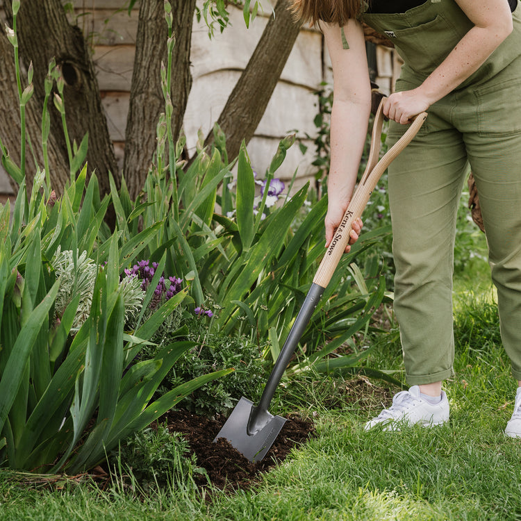 How to Use a Border Spade Safely and Effectively