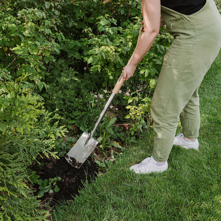 How a Border Spade Compares With Other Garden Tools