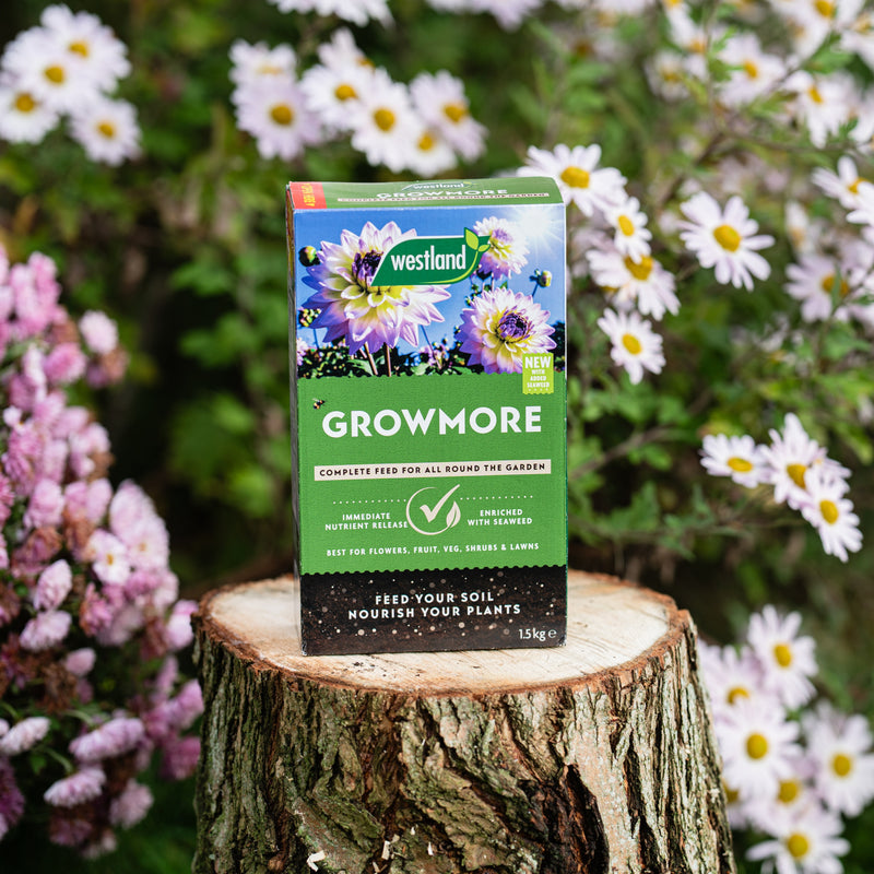 Westland Growmore Fertiliser 1 x 1.5kg Box