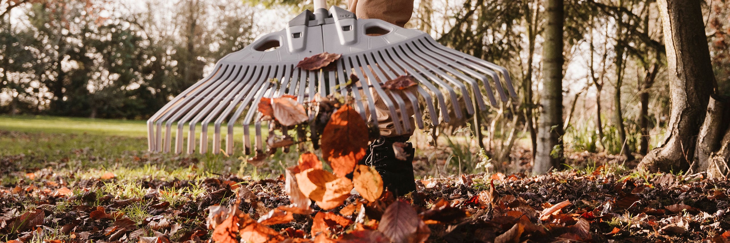 autumn lawn care