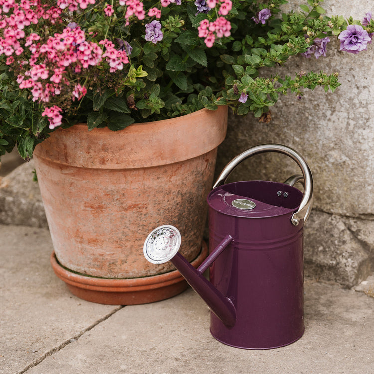 Kent & Stowe Metal Watering Can Deep Violet 4.5L