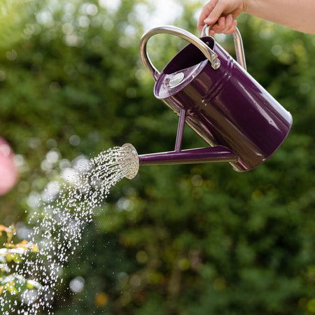 Kent & Stowe Metal Watering Can Deep Violet 4.5L