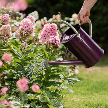 Kent & Stowe Metal Watering Can Deep Violet 4.5L